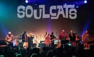 Tanz in den Mai Köln 2026 mit den SOULCATS